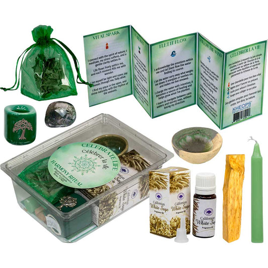 celebrate life ritual kit, earth energy ritual kit, vitality and joy spiritual kit, grounding ritual kit, gratitude ritual box, celebrate life candle kit, mindfulness ritual kit, spiritual celebration kit, self-care ritual with sage and candle, intention setting ritual kit