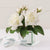sustainable flower bouquets, eco-friendly flower delivery, green eco flower gifts, environmentally friendly roses,  flower and chocolate gift baskets, gourmet flower gift hampers, spa and flower gift baskets, new baby flower baskets, sympathy flower and gift baskets, flowers and sweets gift set, get well soon flower arrangement, sympathy and funeral flowers, luxury rose arrangements, premium flower gift boxes, exclusive orchid gifts, 
