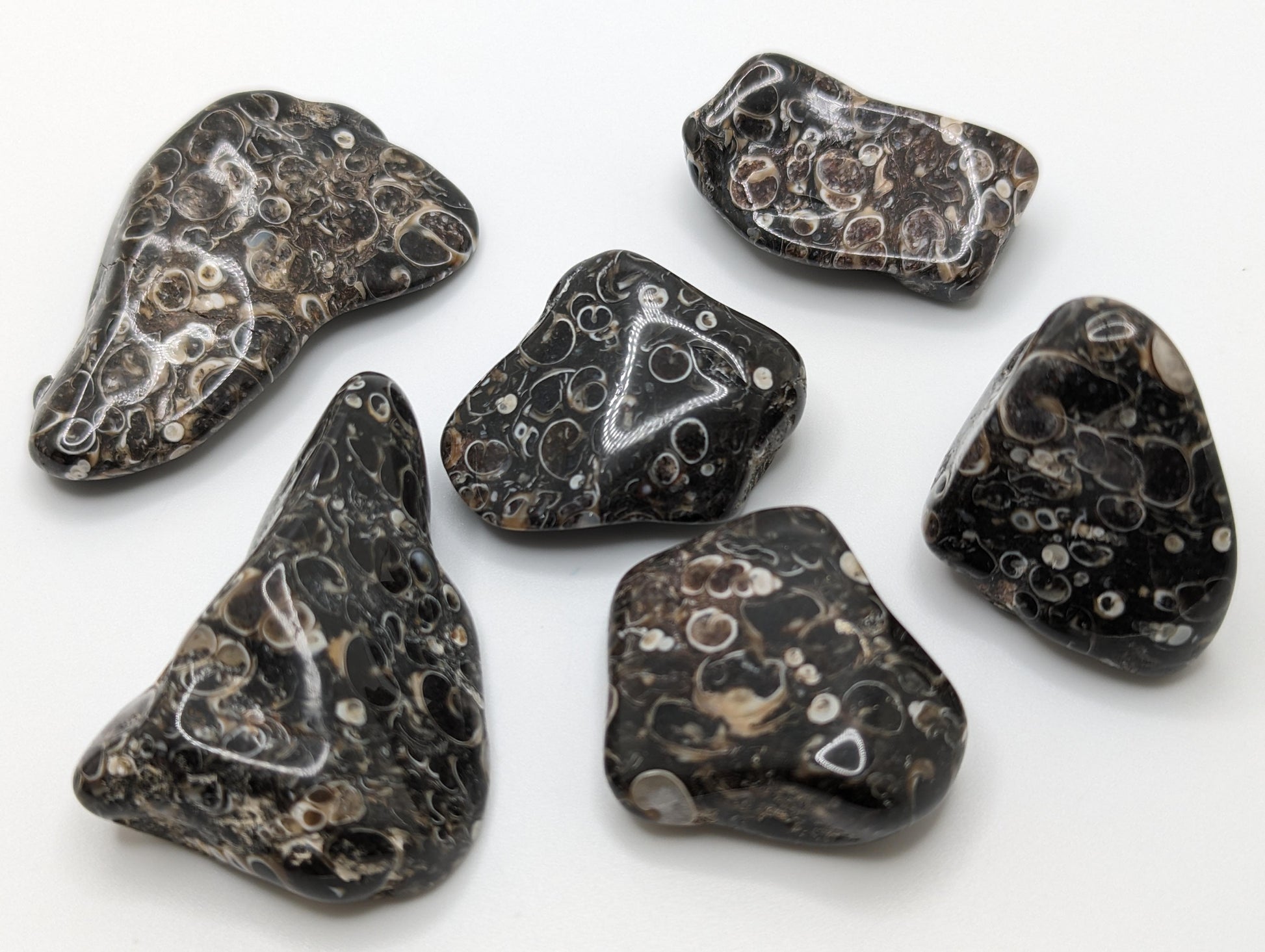 Turritella Agate Tumbled Stone 1 inch, polished fossilized agate healing crystal for grounding and emotional healing, natural turritella gemstone with ancient fossil patterns, calming agate crystal for stress relief and resilience, genuine fossil agate pocket stone for meditation and mindfulness, tumbled gemstone for reiki and chakra healing, unique turritella agate crystal gift for women and men